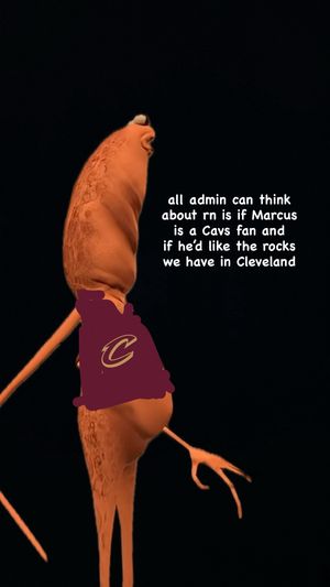 Video post by @cavs on TikTok