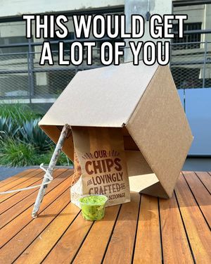 Image post by @chipotle on Instagram