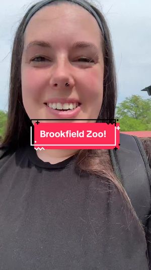 Video post by @teacherchronicles22 on TikTok