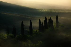 Image post by @lucagiustozzi on Instagram