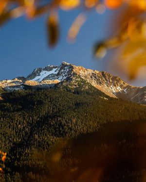 Image post by @whistlerblackcomb on Instagram
