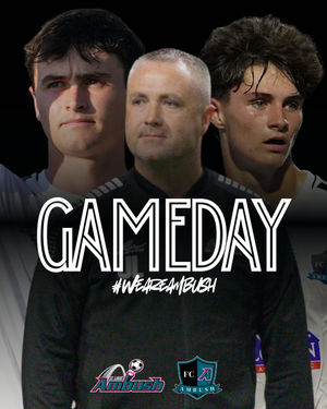 Image post by @stlouisambush on Instagram