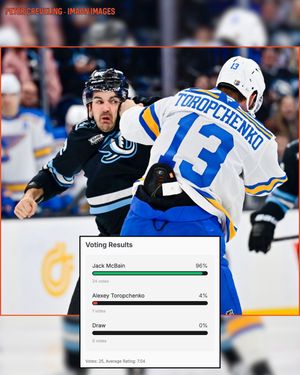 Image post by @hockeyfights on Instagram