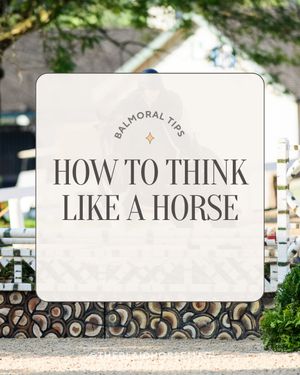 Image post by @theplaidhorsemag on Instagram
