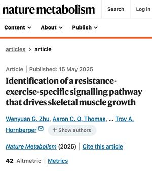 Image post by @mackinprof on Instagram