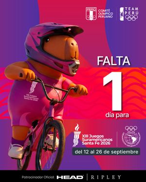 Image post by @copteamperu on Twitter/X