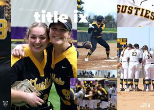 Image post by @gustiesoftball on Instagram