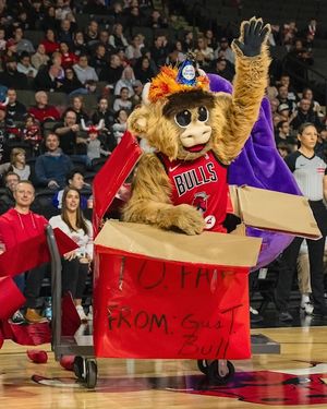 Image post by @windycitybulls on Instagram