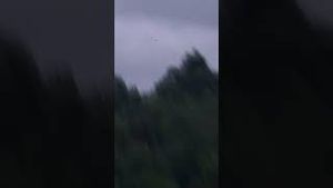 Video post by @lpga on YouTube