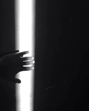 Image post by @dr.lense on Instagram