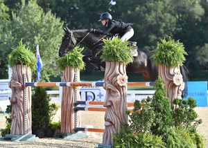 Image post by @kyhorseshows on Instagram