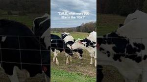 Video post by @ncstatecals on YouTube