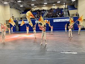 Image post by @wgisportofthearts on Instagram