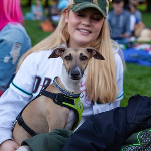 Image post by @picklesbaseball on Instagram