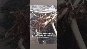 Video post by @accuweather on YouTube