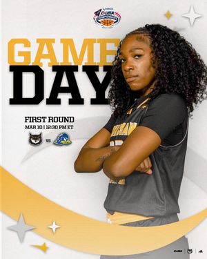 Image post by @ksuowlswbb on Instagram