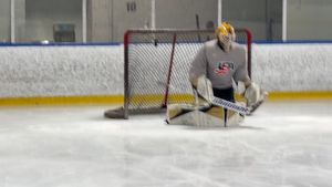 Image post by @bosak_goaltending on Instagram