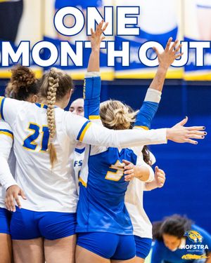 Image post by @hofstravb on Instagram