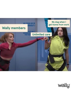 Image post by @wallyhealth on Instagram