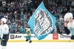 Image post by @sjsharkie on Twitter