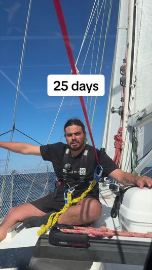 Video post by @sailing_with_phoenix on TikTok