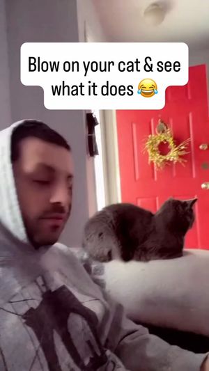 Video post by @djtesonyc on Instagram