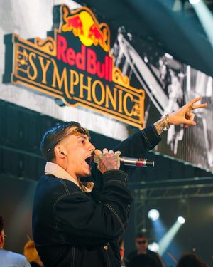 Image post by @redbullbr on Instagram