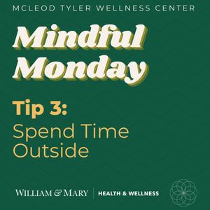 Image post by @wellnesswm on Instagram