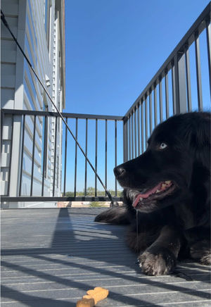 Video post by @candyjimenezzzzz on TikTok