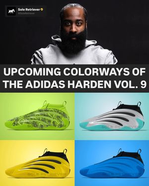 Image post by @soleretriever on Instagram