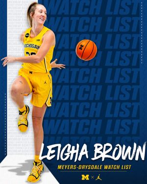 Image post by @umichwbball on Twitter