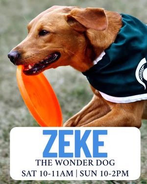 Image post by @zekethewonderdog_ on Instagram