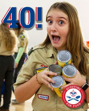 Image post by @scouting.america on Instagram