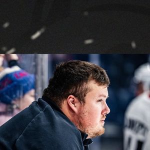 Image post by @ohlicedogs on Instagram