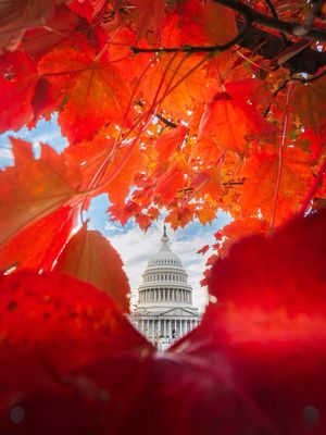 Image post by @igdc on Instagram