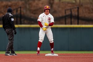 Image post by @BCBirdBall on Twitter