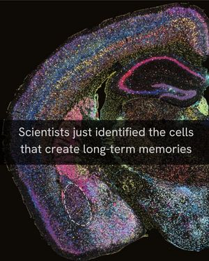 Image post by @biohub on Instagram