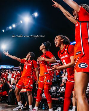 Image post by @brodiephotoz on Instagram