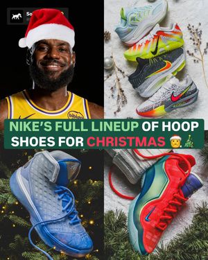 Image post by @soleretriever on Instagram