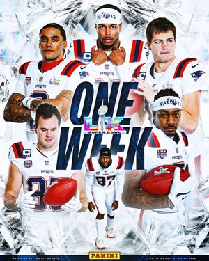 Image post by @patriots on Instagram