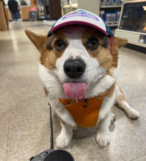 Image post by @petsmart on Instagram