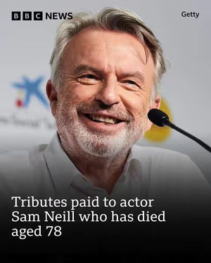 Image post by @bbcnews on TikTok