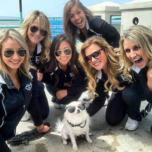 Image post by @lakingsicecrew on Instagram