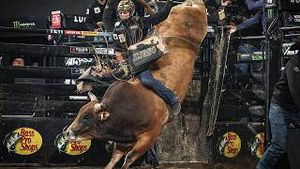 Video post by @pbr on YouTube