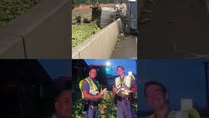 Video post by @firstcoastnews on YouTube