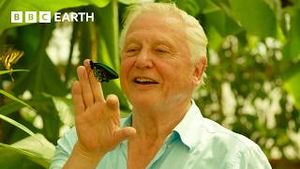 Video post by @bbcearth on YouTube
