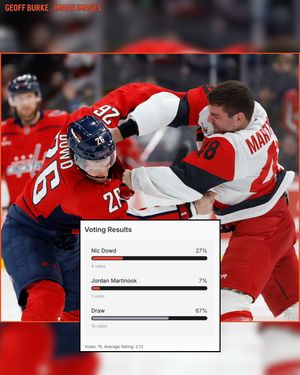 Image post by @hockeyfights on Instagram
