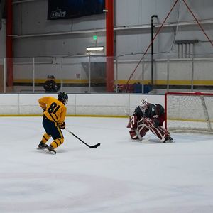 Image post by @calicehockey on Instagram