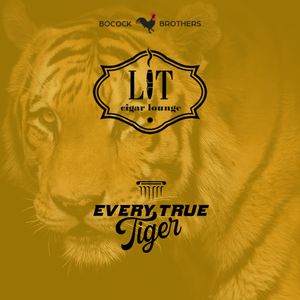 Image post by @everytruetiger on Instagram