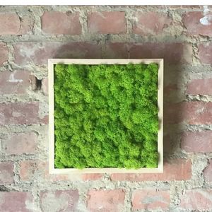 Image post by @leafyaffair on Instagram